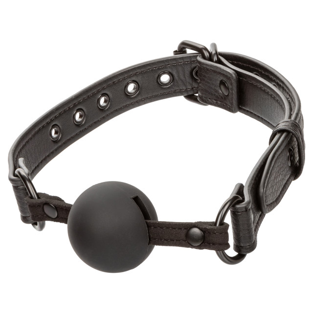 Ball Gag