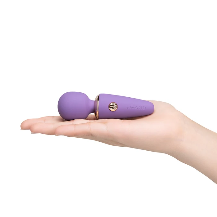 Mini Vibe Microwand