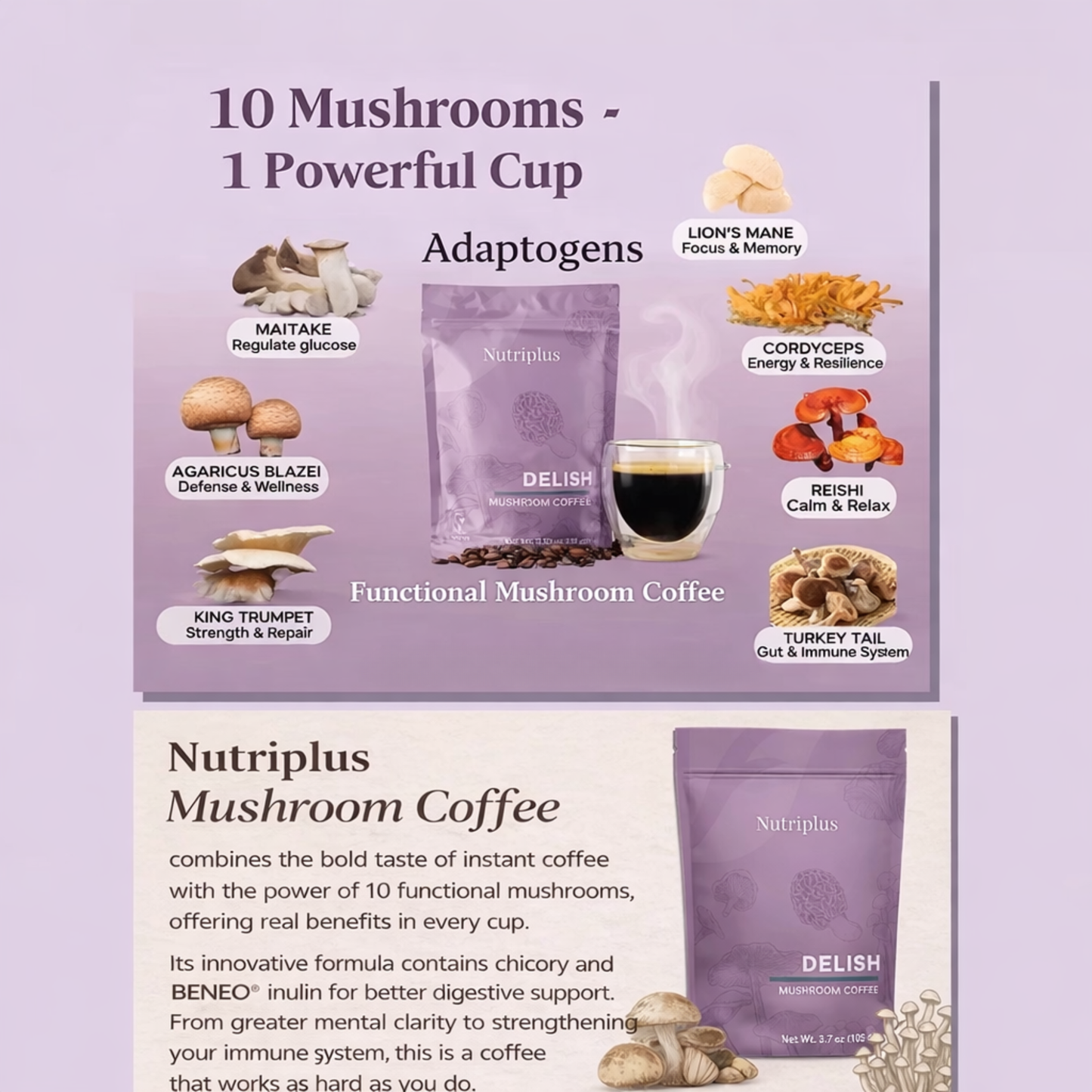 Delish Mushroom Coffee