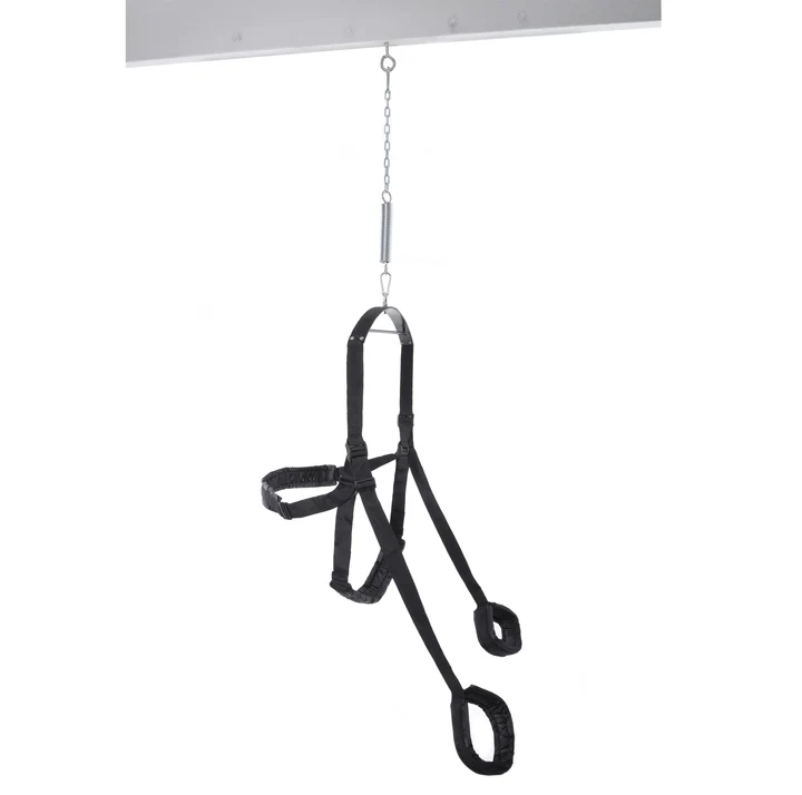 Fantasy Swing